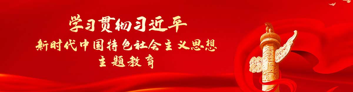 新時代中國特色社會主義思想主題教育