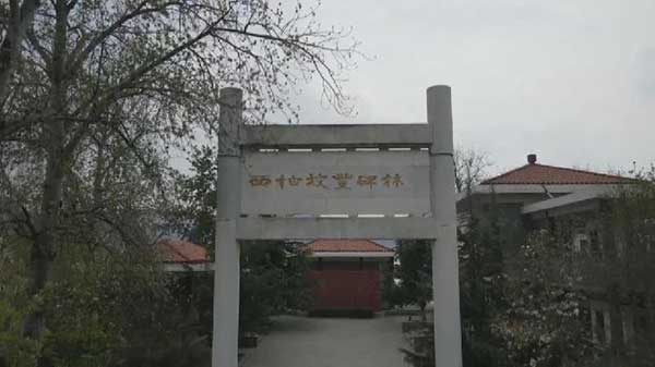 西柏坡豐(feng) 碑林