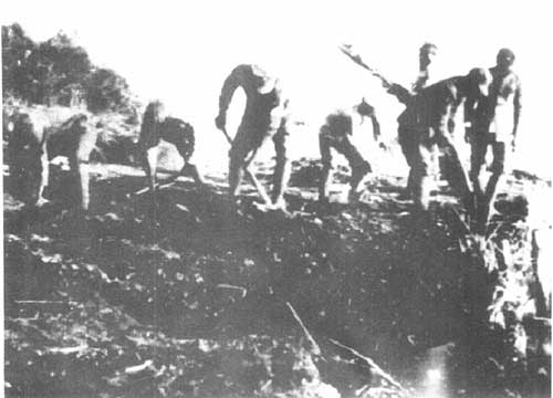 蘇浙軍(jun) 區的大生產(chan) 運動